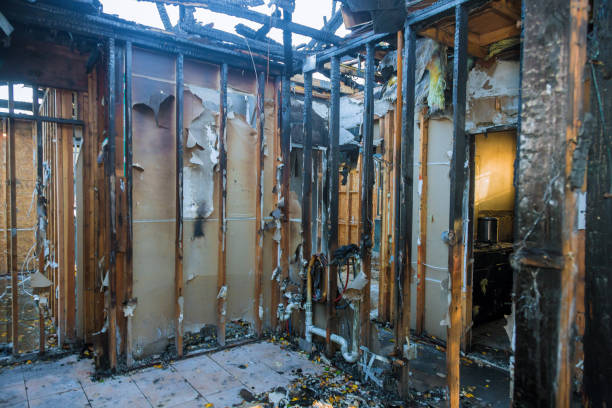 Professional Fire Damage Removal technician working in Homer, LA